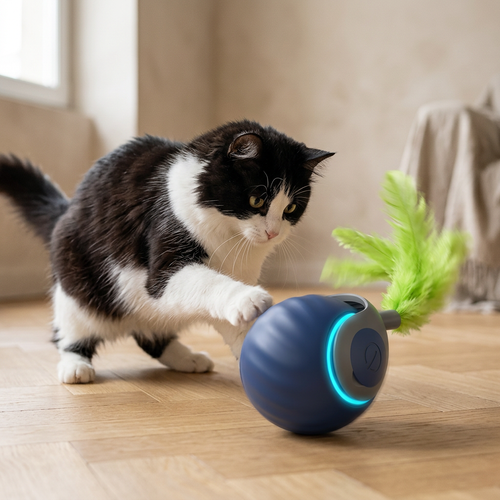 Chat qui chasse la boule autoroulante Tiloo sur parquet